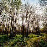 Bosco Ciancio Venkovský dům