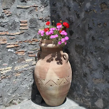 Bosco Ciancio *