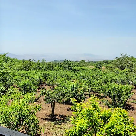 Bosco Ciancio Kır Evi Biancavilla