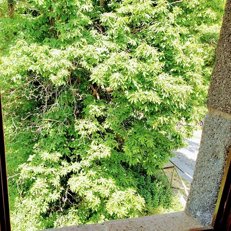 Bosco Ciancio *