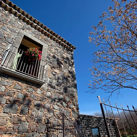 Bosco Ciancio * Biancavilla