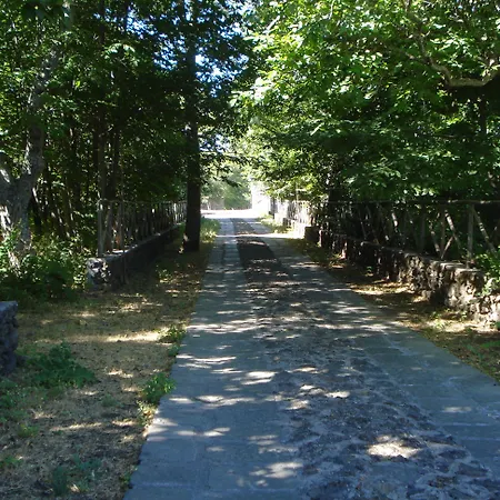 Bosco Ciancio * Biancavilla