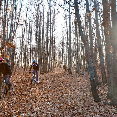 Lantställe Bosco Ciancio Biancavilla