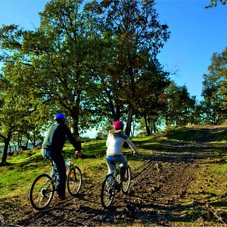 Bosco Ciancio منزل ريفي *