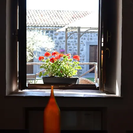 Bosco Ciancio * بيانكافيلا