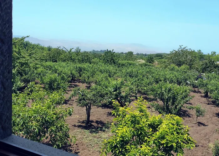 Летний дом Bosco Ciancio *