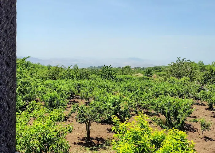 Bosco Ciancio Летний дом Бьянкавилла
