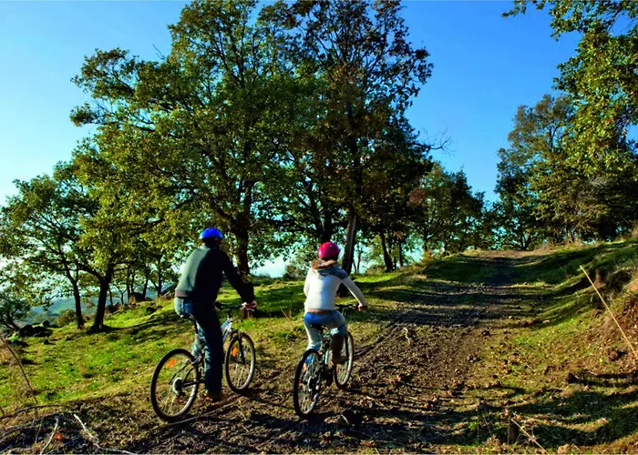 Bosco Ciancio Летний дом *