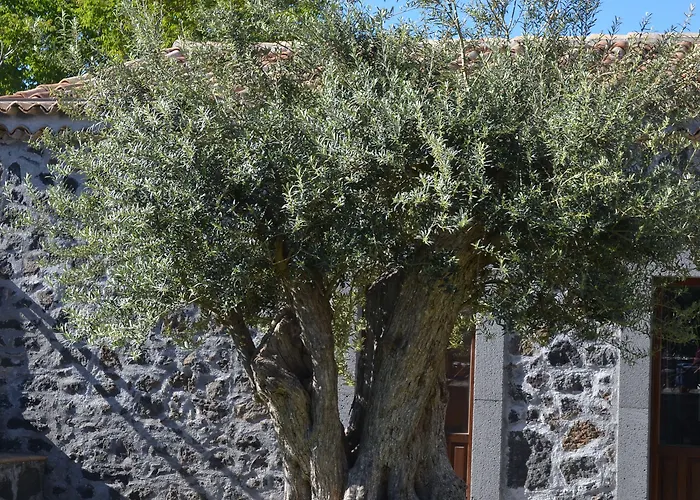 Летний дом Bosco Ciancio Бьянкавилла