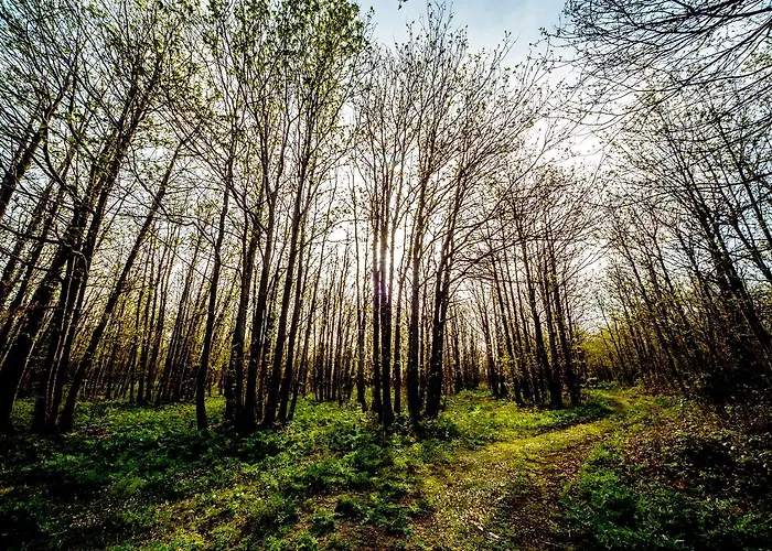 Bosco Ciancio Летний дом